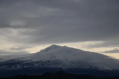 DSC_2616 (Large).JPG